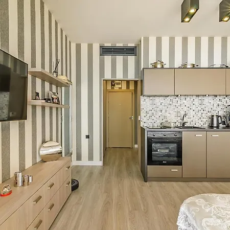 Apartment Alek *